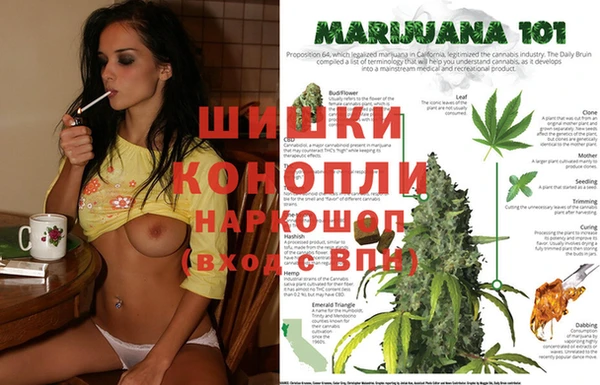 прущие крисы Михайловка