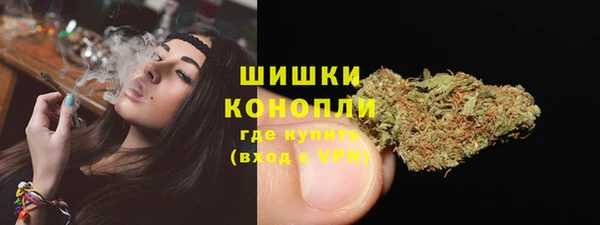 гашик Михайловск