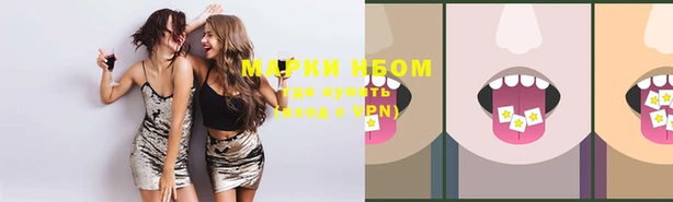 гашик Михайловск