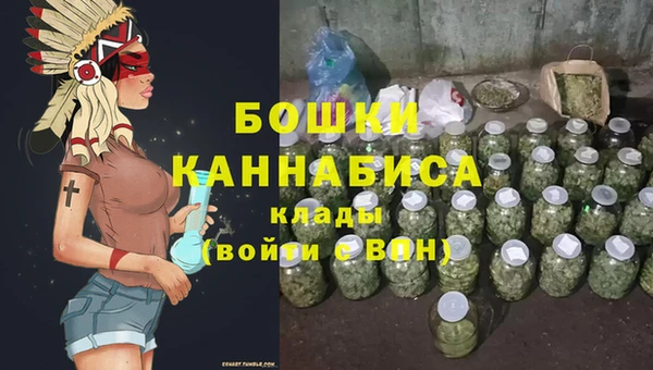 гашик Михайловск
