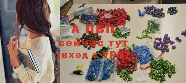 гашик Михайловск