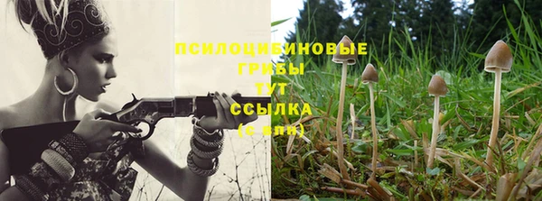 гашик Михайловск