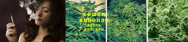 прущие крисы Михайловка