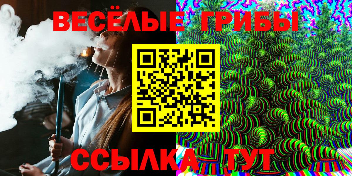 купить   Галлюциногенные грибы MAGIC MUSHROOMS  Вход с VPN  Ростов-на-Дону 