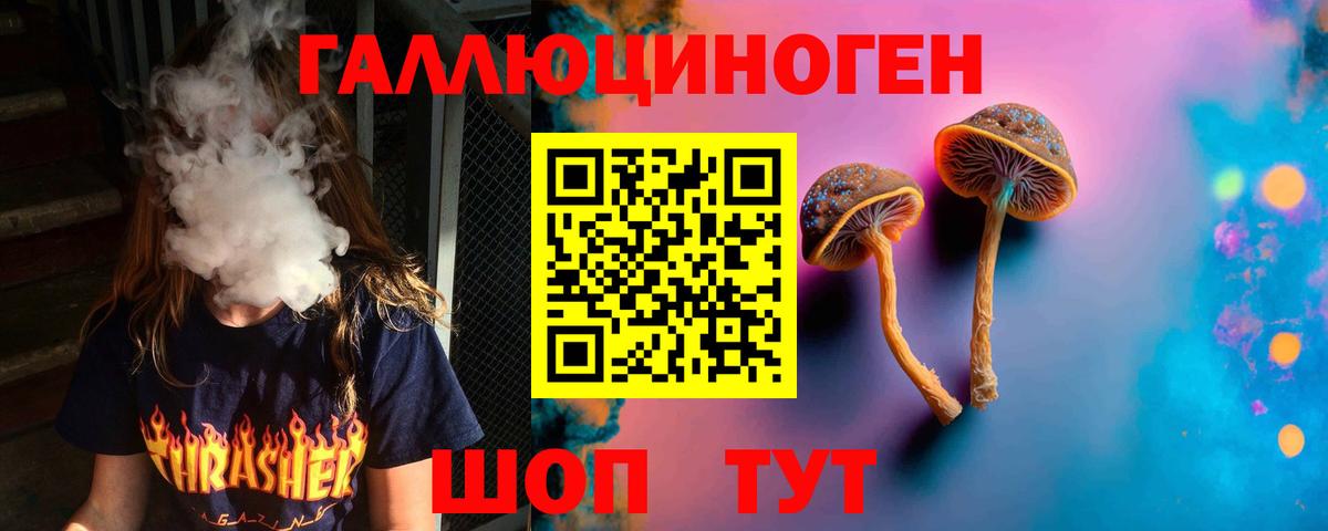 Псилоцибиновые грибы прущие грибы Ростов-на-Дону
